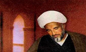 اینفوگرافیک/ زندگی‌نامه آیت‌الله جعفر بهاءالدین محمدی عراقی