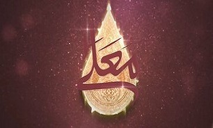 فیلم/ صلابت خانواده شهدا