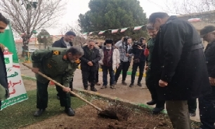 کاشت ۵۰۰ هزار اصله درخت توسط جهادگران بسیج سازندگی