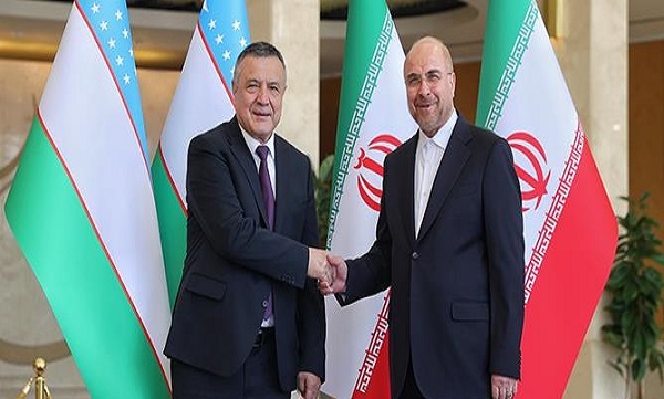 روئسای مجالس ایران و ازبکستان دیدار و گفت‌و‌گو کردند