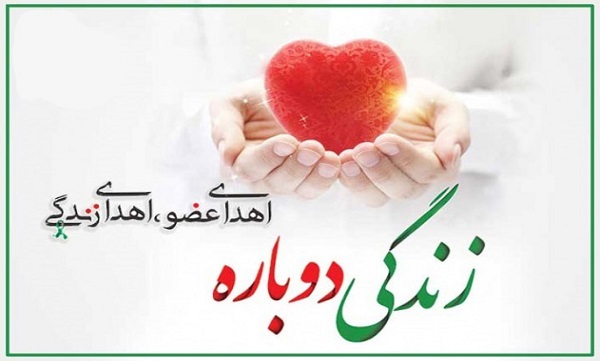 اعضای بدن فرزند شهید «کرمی‌راد» به چند بیمار زندگی بخشید