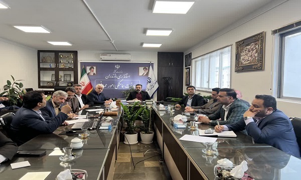 با شورا‌های اسلامی و دهیاران متخلف قاطعانه برخورد می‌شود
