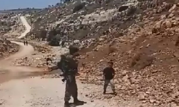 فریاد کودک فلسطینی بر سر نظامیان صهیونیست: اینجا خاک من است