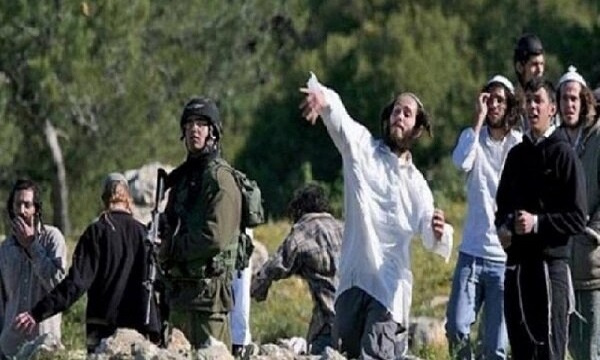 سازمان ملل: خشونت شهرک‌نشینان علیه فلسطینیان متوقف شود