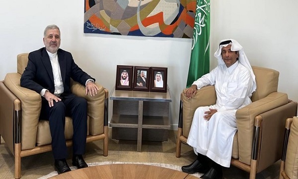 عنایتی با معاون کنسولی وزیر خارجه سعودی دیدار کرد