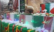 تصاویر/ برنامه شبی با شهدا در مساجد شهر دهدشت برگزار شد