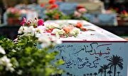 میهمان داریم+ عکس