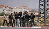 اسرائیل حملات شهرک‌نشینان به فلسطینی‌ها را متوقف کند