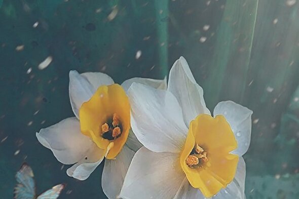 کسی که آمدنی بود و هست، می‌آید
