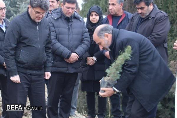 غرس ۲۰۰ اصله نهال «به یاد پدر» در مجموعه بام ملایر+تصاویر