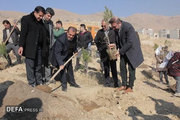 کاشت ۲۰۰ اصله درخت در پویش «به نام پدر» در تپه روضه‌الشهدا شهرکرد