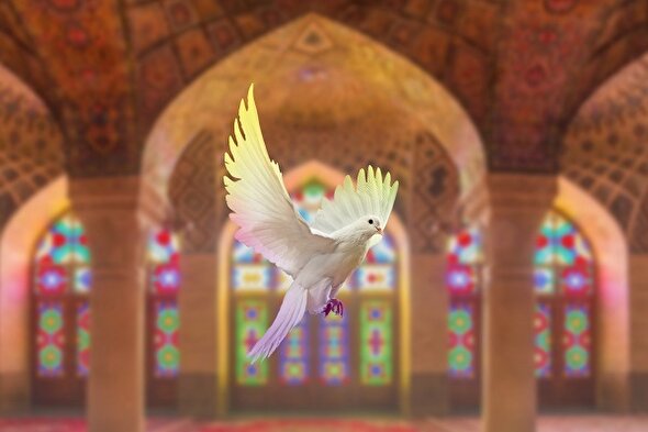 طرح/ تنها با خدا