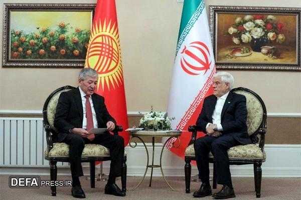عارف: حقوق‌بشر ابزاری برای کشور‌های غربی است
