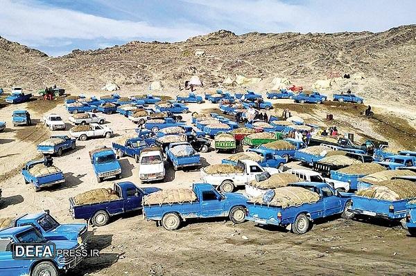 قاچاق کالا معضل جدی اقتصاد