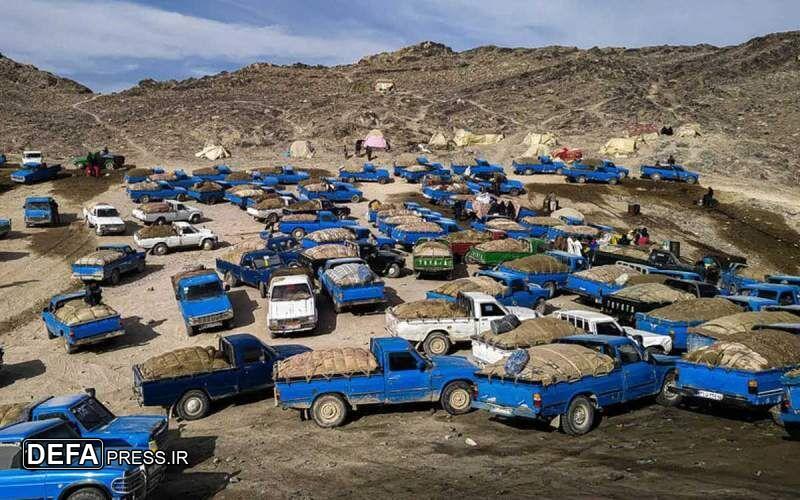 قاچاق سوخت مزیتی برای کشورهای همسایه/عید