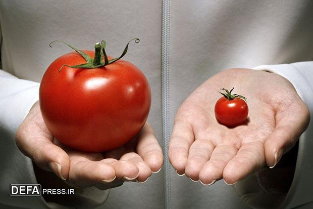 نقش شرکت‌های آمریکایی ـ صهیونیستی در تولید محصولات غذایی «تراریخته»