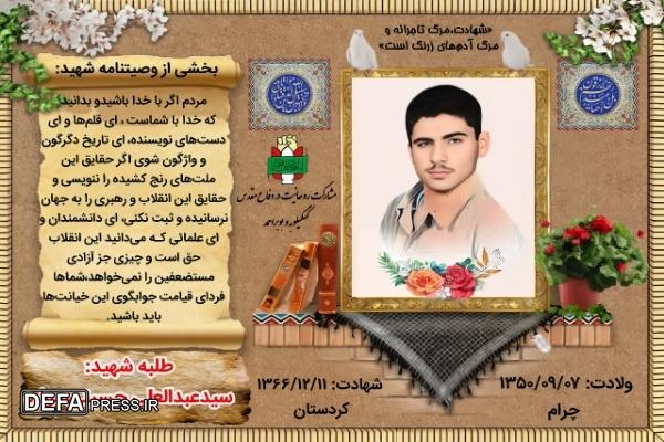 اینفوگرافیک/ طلبه شهید «سید عبدالعلی حسینی سواره»