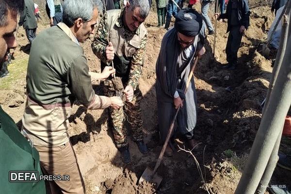 غرس ۶۰۰ اصله نهال در «زرین‌گل» علی‌آبادکتول گلستان