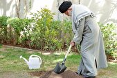درخت‌کاری وظیفه‌ای ملی