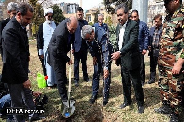 استاندار خراسان رضوی: در هفته منابع طبیعی امسال نیز ۵۰۰ هزار نهال در استان کاشته خواهد شد.