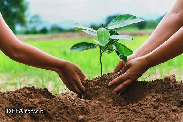 درخت‌کاری، جریان‌سازی برای آینده‌ای سبز و پایدار 