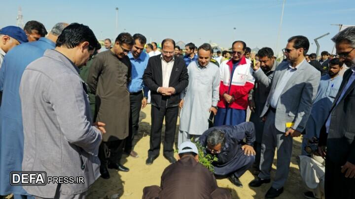 کاشت درخت، سنتی ماندگار و نیک با مزد فراوان در استقبال از سال نو