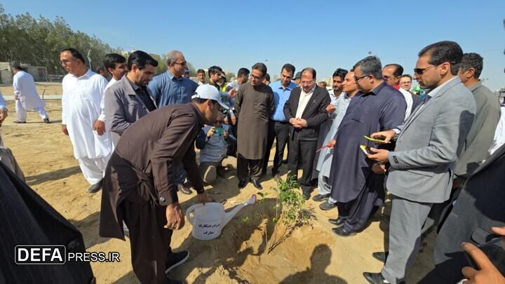 کاشت درخت، سنتی ماندگار و نیک با مزد فراوان در استقبال از سال نو