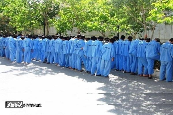 شناسایی و دستگیری ۳۵۵ سارق و مالخر