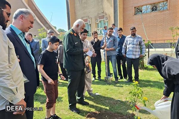 کاشت ۴۵ اصله نهال به یاد شهدا در دانشگاه آزاد اسلامی اهواز+ تصاویر