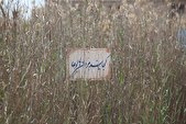 قیمت عبور از اروند خروشان
