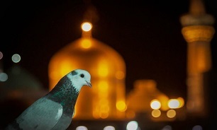یک نگاه!