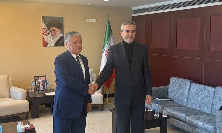 معاون اول وزیر امور خارجه جمهوری ازبکستان با باقری دیدار کرد