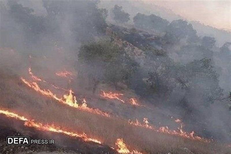 آتش‌سوزی روزانه در جنگل‌های لرستان/ ۳۰مظنون شناسایی شد