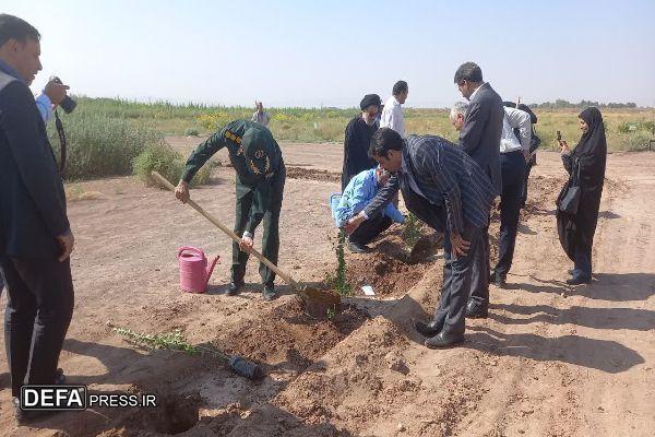 کاشت نهال به یاد ۹۶ زن شهیده استان کرمان+تصاویر