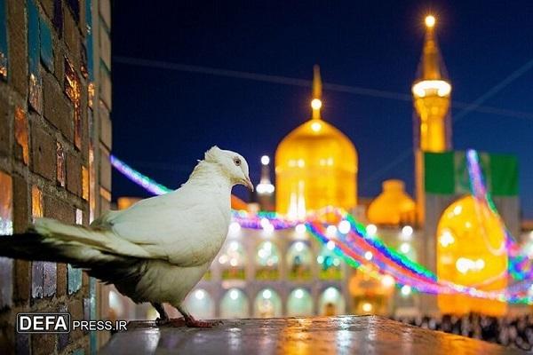 ره‌آورد زیارت امام رضا (ع) برای زائر