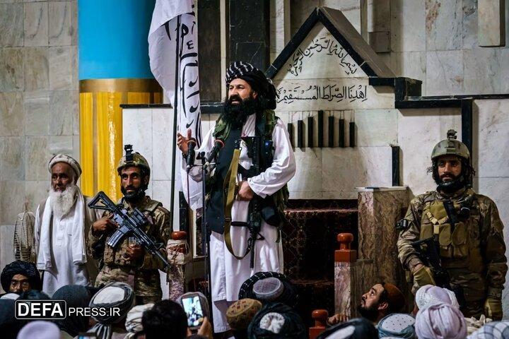 وزیر امور مهاجرین طالبان در کابل کشته شد