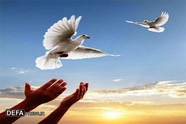 یک محکوم به قصاص نفس در نوشهر از چوبه دار رهایی یافت 