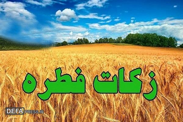 مومنی: