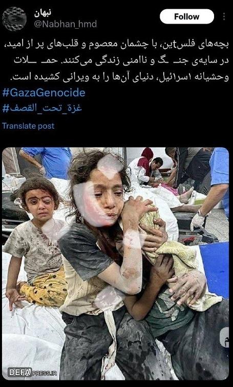 نسل کشی