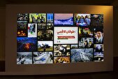 افتتاح نمایشگاه عکس «با طوفان الاقصی از آغاز تا پیروزی نهایی»