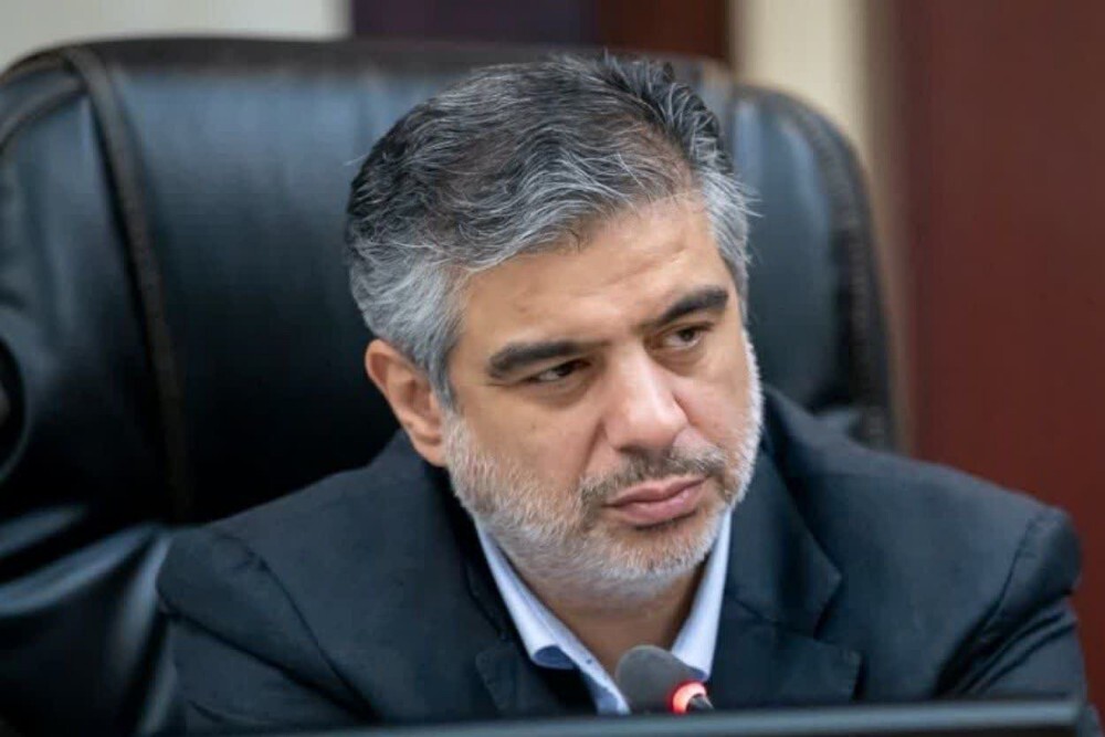 زندیه وکیلی: باید تلاش شود تا شرایط برای سرمایه‌گذاری تسهیل شود