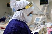 عبادی: وزارت بهداشت در ۴ سال گذشته فقط ۱۰ هزار پرستار استخدام کرده است