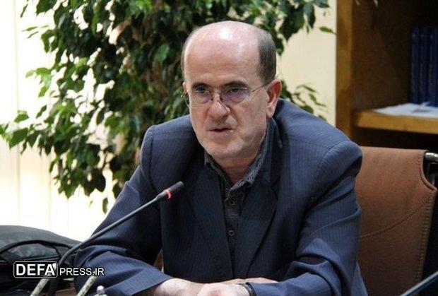 لاهوتی: دولت برای تحقق شعار سال بیش از پیش تلاس کند