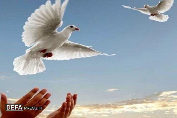 رفیعی کشتلی: ۲ زندانی محکوم مالی در بابل آزاد شدند