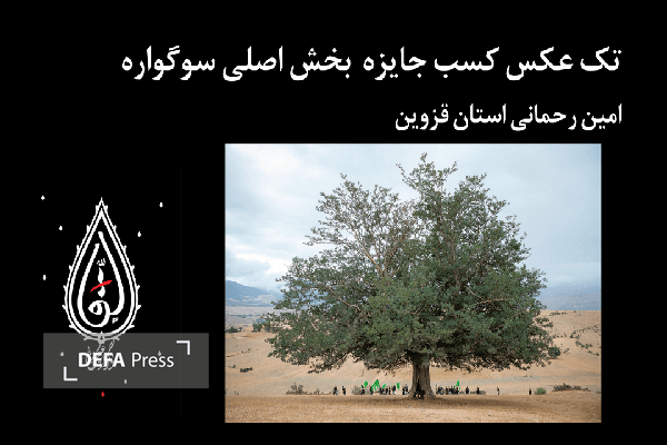 برگزیدگان سومین سوگواره ملی عکس «سقا» اعلام شدند + تصاویر