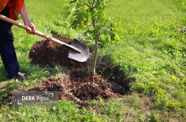 آغاز پویش ملی درختکاری در استان سمنان به یاد «سردار دلها» و آیتالله شاهچراغی آغاز پویش ملی درختکاری در استان سمنان به یاد «سردار دلها» و آیتالله شاهچراغی