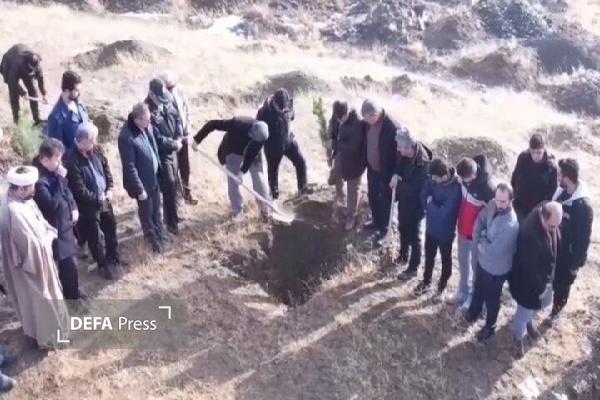 پویش ملی «درختی برای پدر، سبزی برای ایران» در سنندج برگزار شد