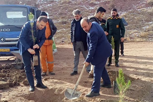 نهال‌هایی به نام پدر؛ یاد شهدا در کوهسار زنده شد