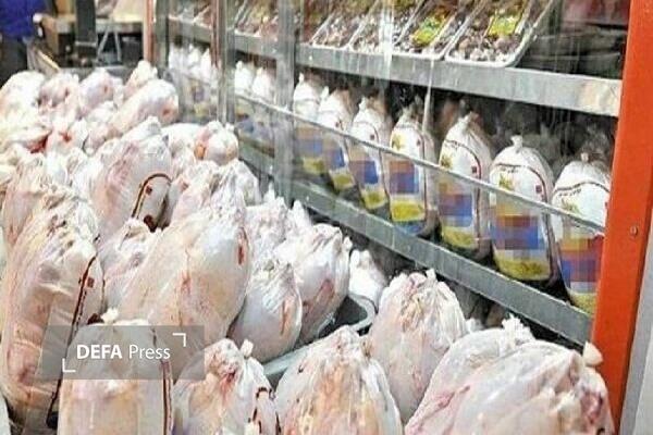 در حال حاضر تولید مرغ در کردستان مازاد بر نیاز بازار است