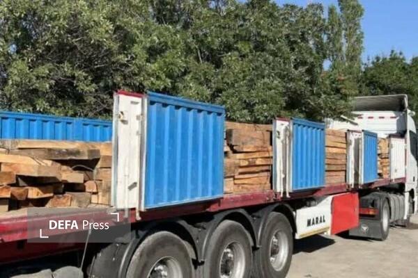 کشف ۱۲۰ تن چوب قاچاق در مازندران